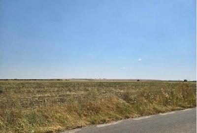 Teren extravilan Smardioasa, cota 1/6, ID: R2688427 - 8