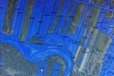 Teren de 11000 mp, în Tinăud - 2