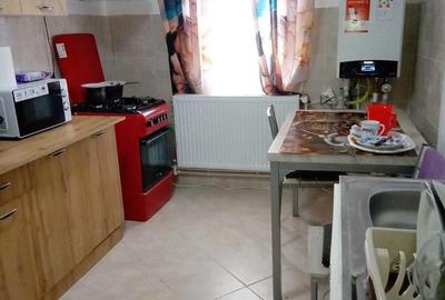 Casă cu 6 camere cu Teren 1100 Mp în Maluri - 9