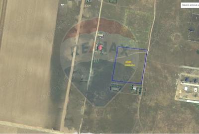 Teren de 10000 mp, în Cârcea - 1