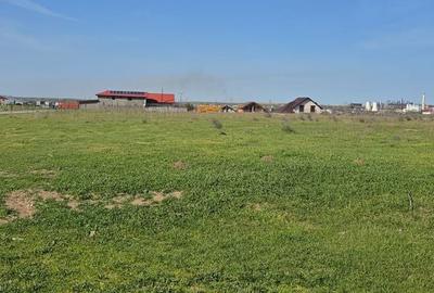 Teren de 50000 mp, în Central