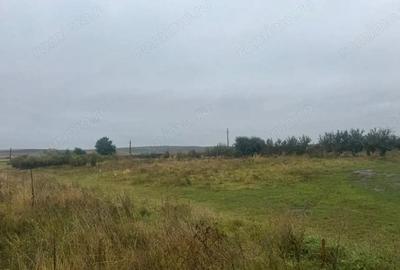 Vanzare 10.000 mp teren Liteni Suceava- la strada -potrivit proiect fonduri - 8