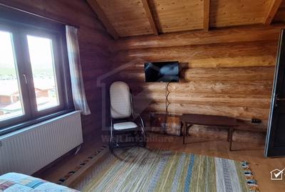 Inchiriere vila de lux, Campenesti dotari de exceptie - 13