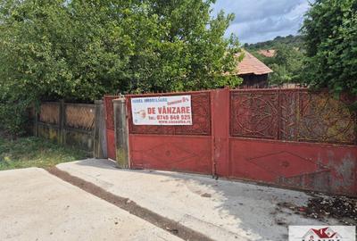 Vanzare casa in Henig 1700 mp teren - 10