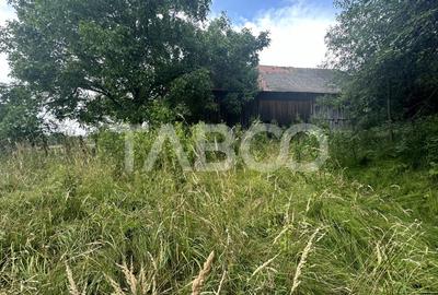 Casa 3 camere 5335 teren liber garaj si anexe  in Sinca Veche - 15