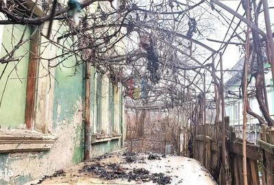 Casă cu 4 camere în Nicolae Bălcescu - 1