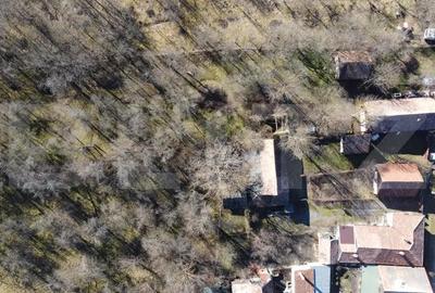 Casă cu 3 camere cu Teren 3200 Mp în Central - 6