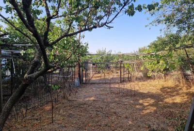 Spațiu comercial, în Central - 2