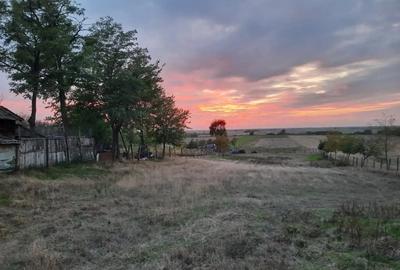 Vand casa la ?oseaua principala - 5