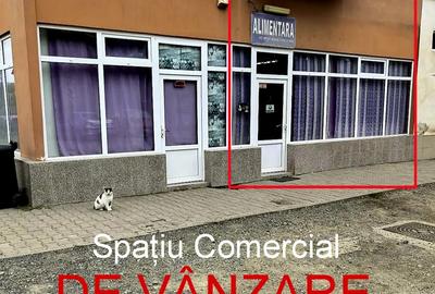 Spa?iu Comercial De Vanzare - 1