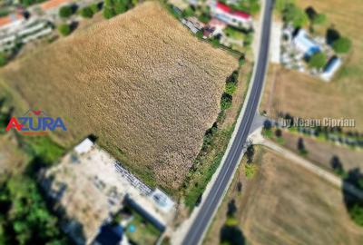 Teren Construcții intravilan de 7976 mp, în Crângurile - 9