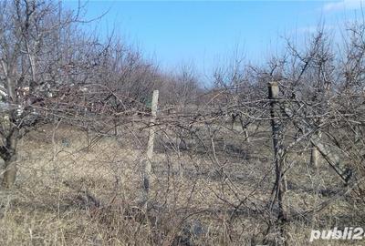 Teren de 2300 mp, în Blidari (Cârligele) - 4