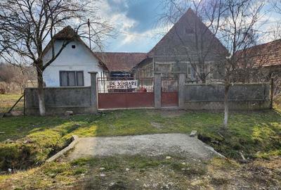 Vand casa Tau?, Arad - 2