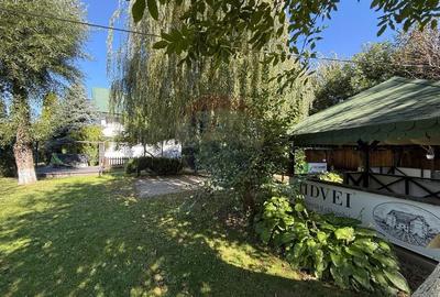 Spațiu comercial, de 300 mp, în Calea Romanului - 25