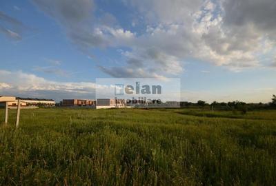 Voluntari - Matei Millo Teren 481 Mp Utili, Deschidere 20 Ml - 5