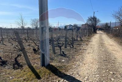 Teren de 1523 mp, în Unirea - 11