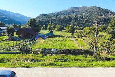 TEREN intravilan  PANGARATI - PRELUCA - 2