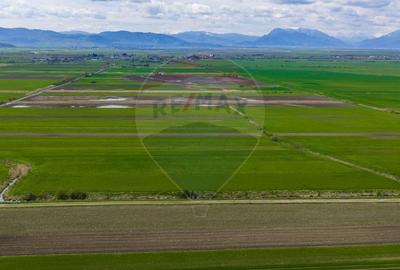 Teren agricol extravilan de 4000 mp, în Stupinii Prejmerului - 10