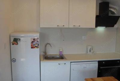 Apartament cu 1 camera in zona Mehala - 1