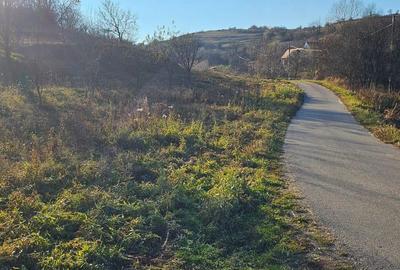 Teren de 1000 mp, în Aghireșu - 3