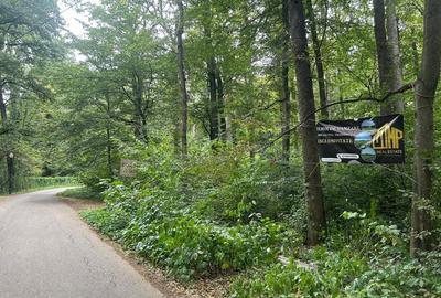 Teren de Vis pe malul lacului Snagov / 4000 mp in inima Naturii /40 m deschidere - 4