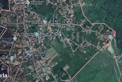 Teren de 3500 mp, în Bârnova - 1