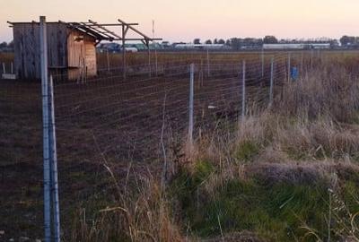 SUPER OCAZIE SE VINDE TEREN INTRAVILAN 500 MP IN ZONA BERCENI IF - 3