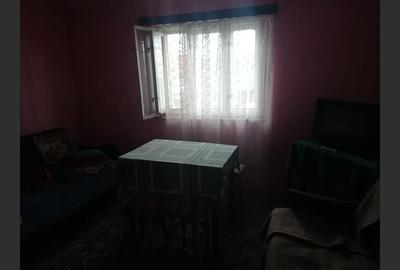 Casă cu 3 camere cu Teren 3040 Mp în Ceanu Mic - 8