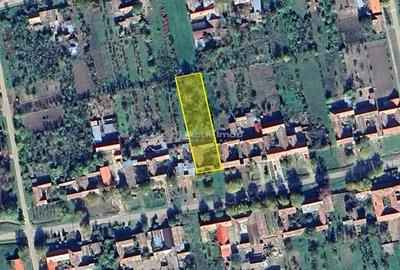 Iam, Casa 5 Camere, Gospodarie, 1439mp Teren, Pret Negociabil - 3