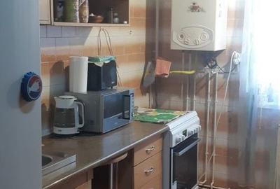 Apartament cu 2 camere decomandat în Dosu Bricii - 2
