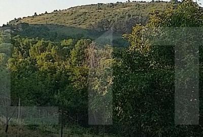 Teren de 800 mp, în Central - 4