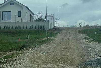 Spațiu comercial, în Săldăbagiu de Munte - 4