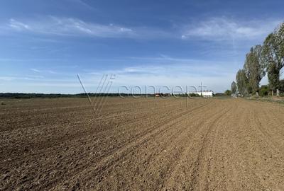 0% comision Teren intravilan – Ciolpani – Izvorani | 1.300 mp - 6