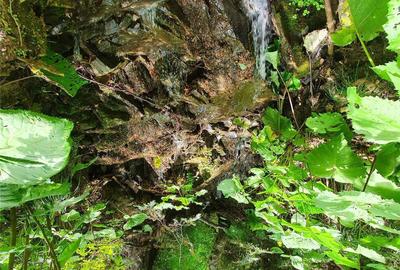 Casă cu 3 camere în Central - 13