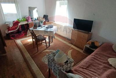 Casă cu 3 camere cu Teren 3000 Mp în Copalnic - 4