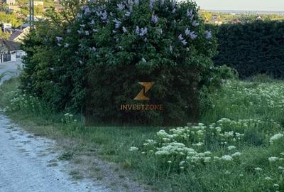 Teren de 2700 mp, în Oncea - 8