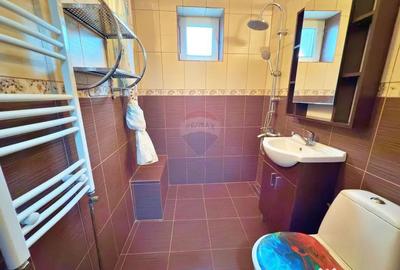 Apartament cu 2 camere semidecomandat, mobilat în Aurel Vlaicu - 3