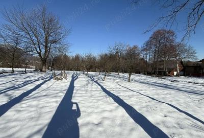 Teren de 763 mp, în Predeluț - 11