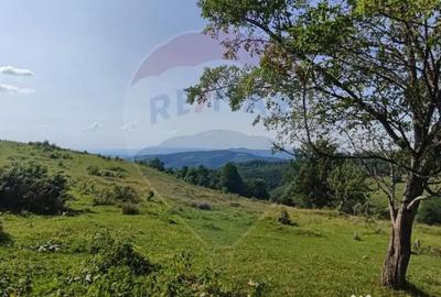 Teren de 128948 mp, în Munteni - 5