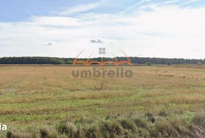 Teren de 6700 mp, în Satulung - 1