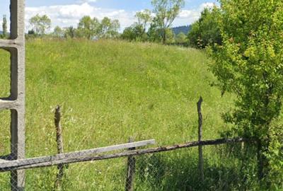 Teren agricol intravilan în Lunca Ilvei - 1