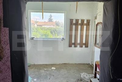 Casă cu 4 camere cu Teren 13000 Mp în Vetiș