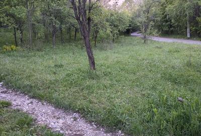 Teren de 1300 mp, în Breaza de Sus - 4