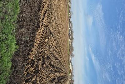 Teren de 3000 mp, în Chiscani - 4