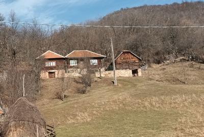 Casă cu 4 camere în Pui - 3