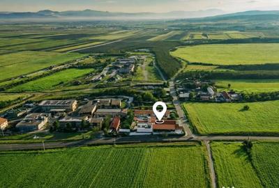 Spațiu comercial, de 1,341 mp, în Valea Crișului - 13