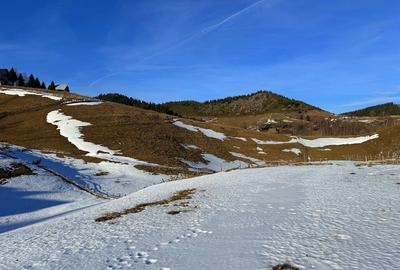 Teren intravilan 8400 mp, Fundata, zona Bran -  Moieciu - 11