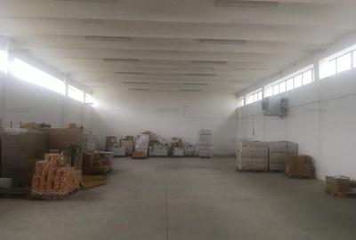 Spațiu industrial, 700 mp în Griviței