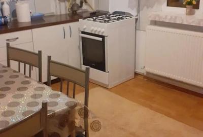 Apartament cu 2 camere decomandat în Craiovița Nouă - 4