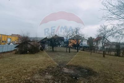 CASA + Casuta - DE VANZARE in Baia Sprie - 4